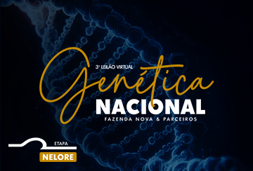 3º LEILÃO VIRTUAL GENÉTICA NACIONAL - FAZENDA NOVA & PARCEIROS - ETAPA NELORE